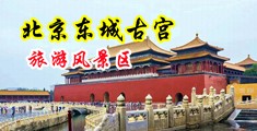 特级欧美性爱视频全裸漏屄中国北京-东城古宫旅游风景区